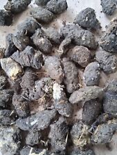 Barn owl pellets for sale  REDCAR