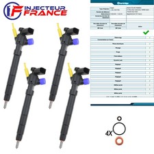 04l130277bg delphi injecteur d'occasion  Saint-Florent-sur-Cher