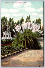 Los angeles california for sale  Newton