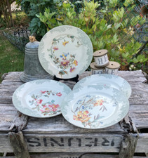 Assiettes plates faïence d'occasion  Villeneuve-la-Guyard
