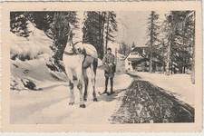 Fotocartolina trasporto sulla usato  Italia