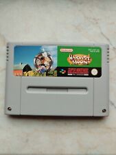 Snes harvest moon gebraucht kaufen  Röbel