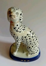 dalmatian dog for sale dalmatian dog for sale MIDDLESBROUGH