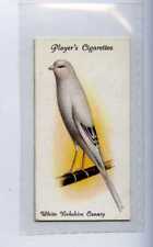 John players aviary for sale  WITHERNSEA