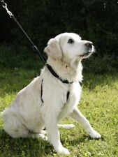 Erziehungsgeschirr hundegeschi gebraucht kaufen  Leipzig