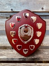 Unengraved trophy shield for sale  UK