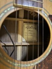 Walden acoustic pick for sale  LYMINGTON