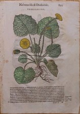 Mattioli pietro stampa usato  Perugia