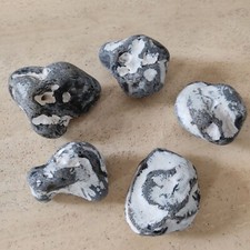 Kieselsteine aquarium teich gebraucht kaufen  Garbsen