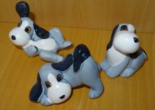 Lustige kleine hunde gebraucht kaufen  Köln