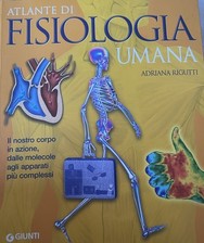 Atlante fisiologia umana usato  Roma
