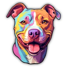 American pitbull color for sale  Glendale