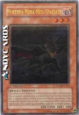Pantera nera neo usato  Ravenna