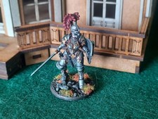 Fully painted dnd for sale  Madison