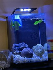 Gallon glass aquarium for sale  Meridian