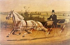 Hopeful horse sulky for sale  Springfield