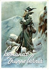 Alpini comando truppe usato  Rovigo