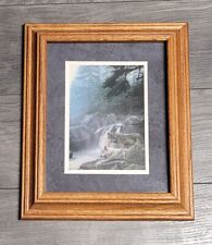 Wolves waterfall framed for sale  Kimball