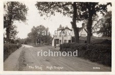 High ongar stag for sale  ABERYSTWYTH