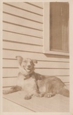 Postcard rppc real for sale  Hot Springs National Park