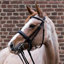 Sonderaktion stübben kandare gebraucht kaufen  Lauenbrück