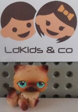 Hasbro lps petshop d'occasion  Saint-Gilles-Croix-de-Vie