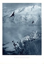 Winter kreuzeck fotoabbildung gebraucht kaufen  Waldburg
