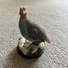 2003 country bird for sale  DUNFERMLINE