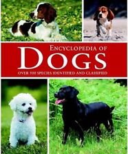 Dogs for sale  UK
