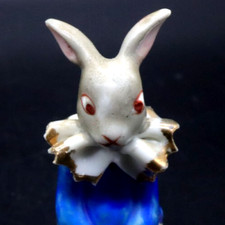 adorable bunny for sale adorable bunny for sale Biddeford