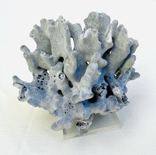 Natural genuine blue for sale  Irvine