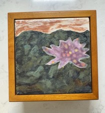 Wooden box ceramic for sale  Framingham