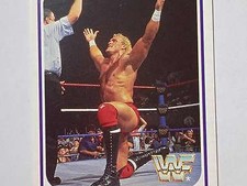 Card wwf wrestling usato  Villar Focchiardo