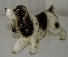 Vintage english springer for sale  Albion