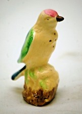 Parrot bird salt for sale  Birch Tree