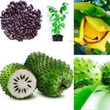 Grow tropical fruit for sale  ELY