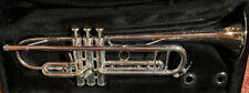 King silver flair gebraucht kaufen  Maxdorf