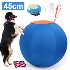 Dogs herding ball for sale  TAMWORTH