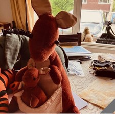 Kanga roo winnie for sale  AYLESBURY