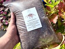 Spider tarantula substrate for sale  MANCHESTER
