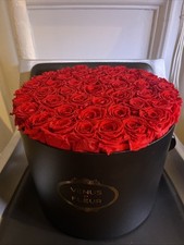 Venus fleur red for sale  New York