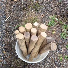 Boxwood logs joblot for sale  DISS