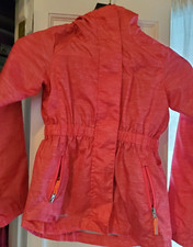 Champion red girl for sale  Scarsdale