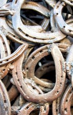 Used rusty horseshoes for sale  Ramona
