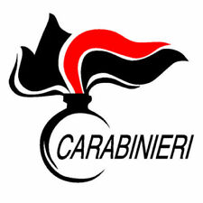 Carabinieri scegli dal usato  Biella