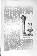 Old antique print for sale  UK
