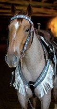 Western tack set for sale  Spokane