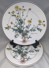 villeroy boch botanica for sale villeroy boch botanica for sale Hallowell