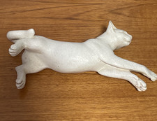 Suzie marsh cat for sale  DORCHESTER