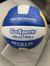 Gosports indoor volleyballs for sale  Vancouver